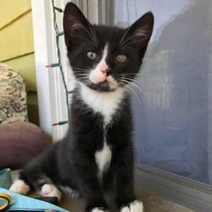 Meet your Posher, Yesenia